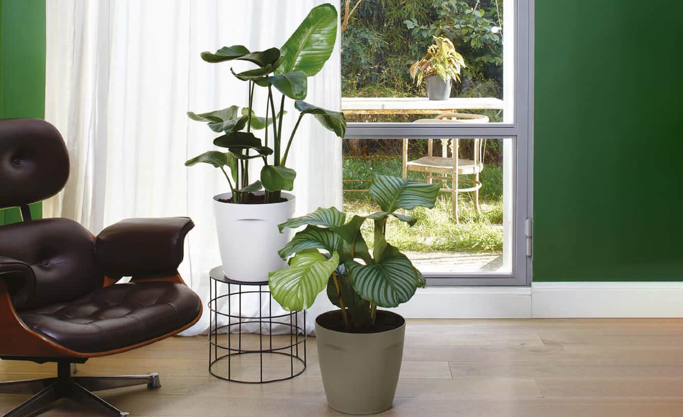 vasar flow collezione equa vaso conico alto ircs isca irbs