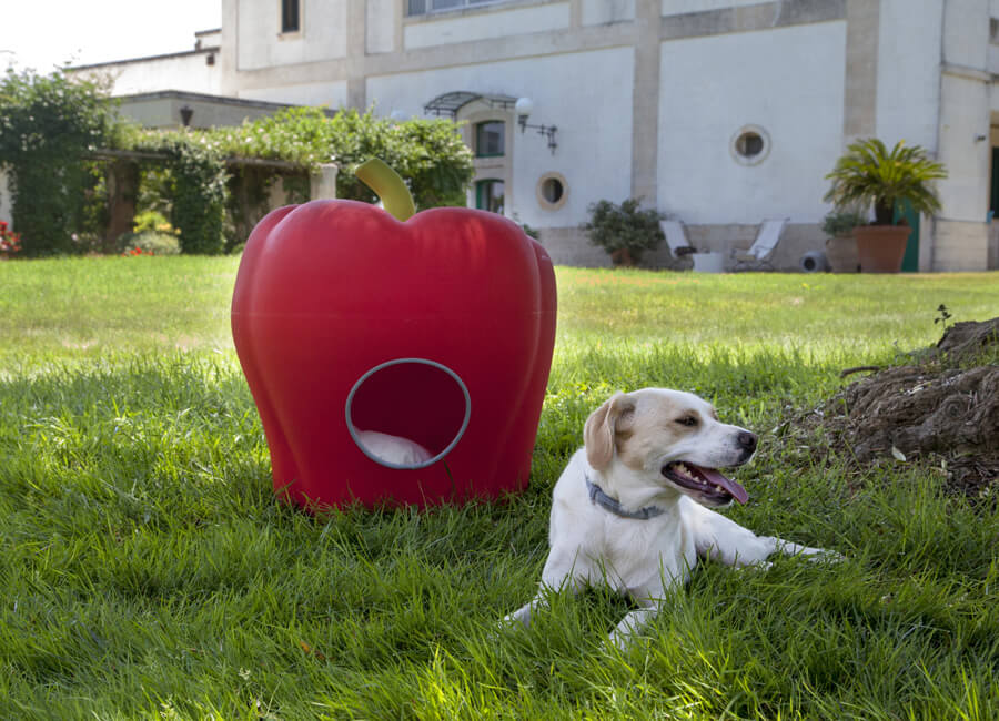 buddy-forma-peperone-cuccia-cane-lecce-brindisi