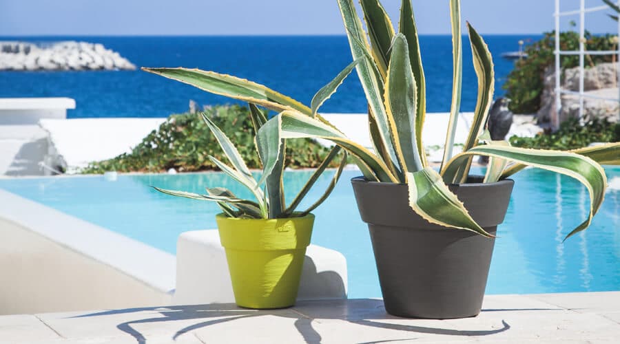 vasi-e-fioriere-arredo-giardino-in-plastica-lecce-brindisi