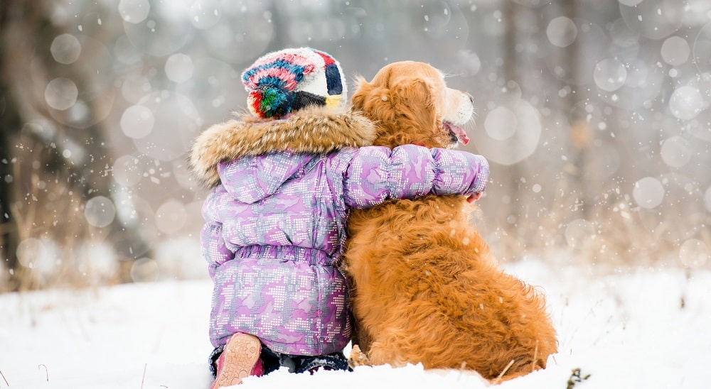 proteggere gli animali dal freddo