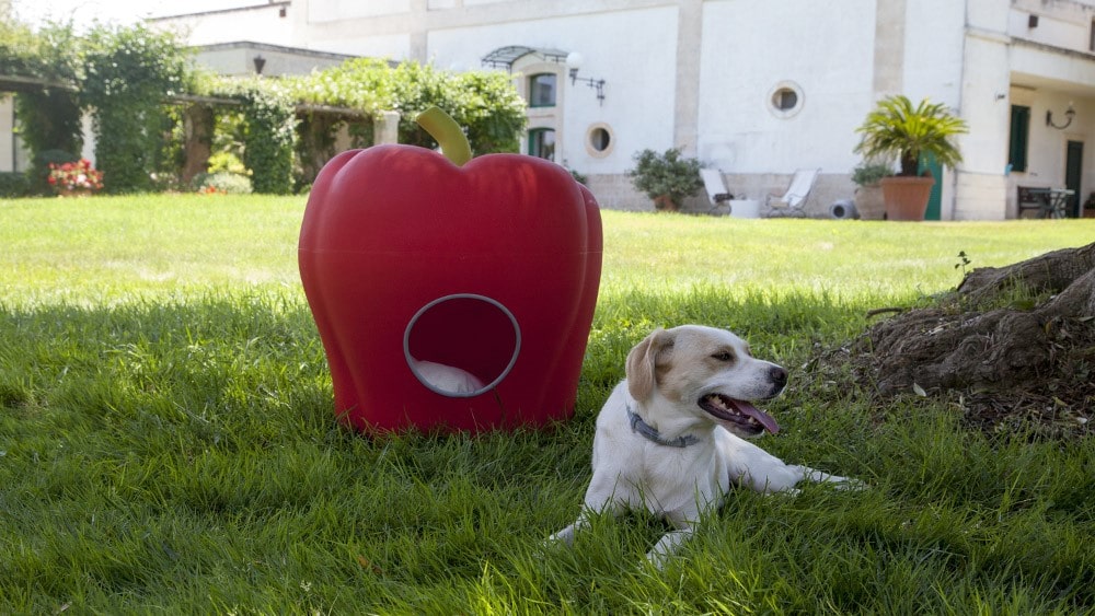 cuccia di design per cane e gatto