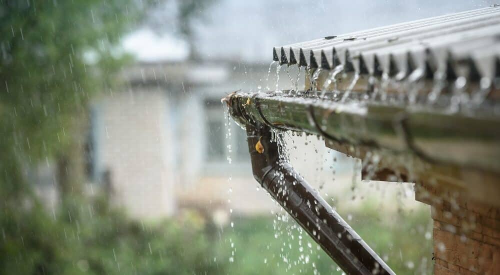 acqua piovana