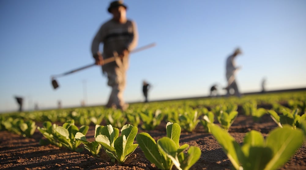 Agricoltura sostenibile e sistemi stoccaggio acqua irrigazione italia