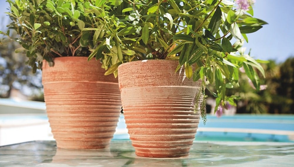 vaso in terracotta per esterni