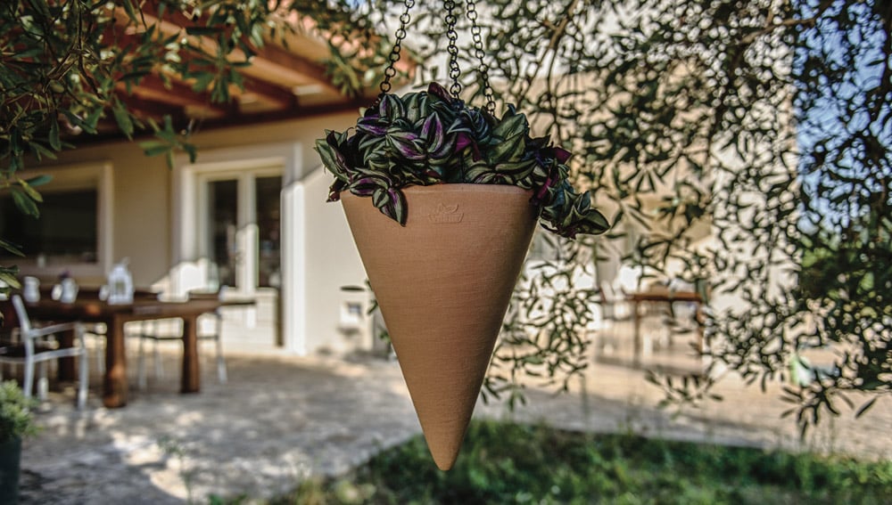 tendenze giardinaggio 2024